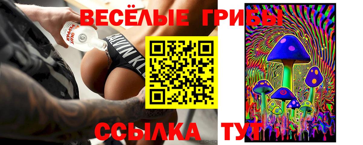 Псилоцибиновые грибы мицелий Воткинск